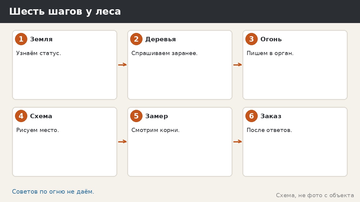Шесть шагов у леса