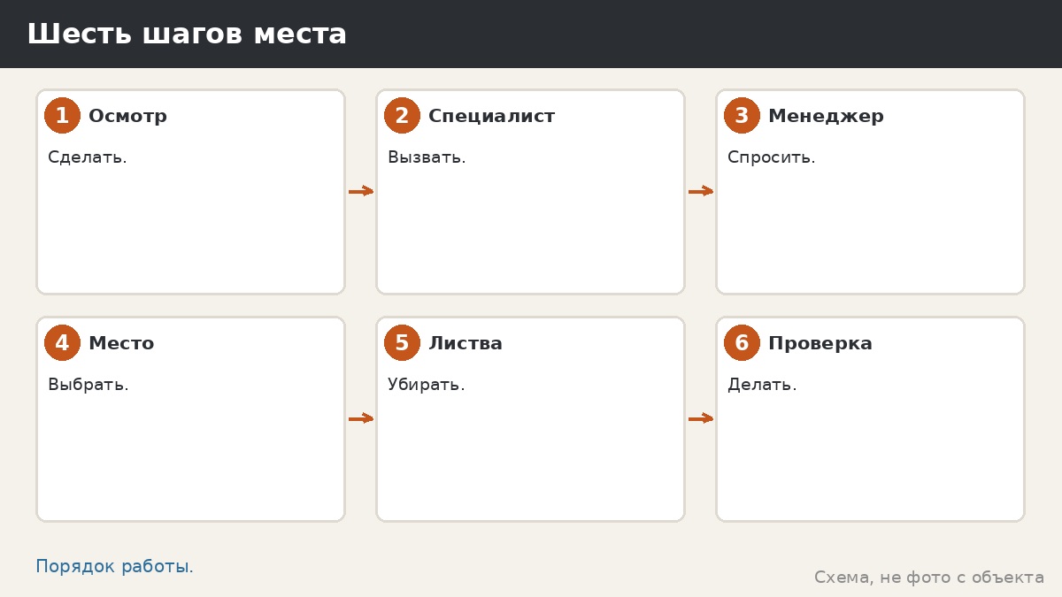 Шесть шагов места под деревьями