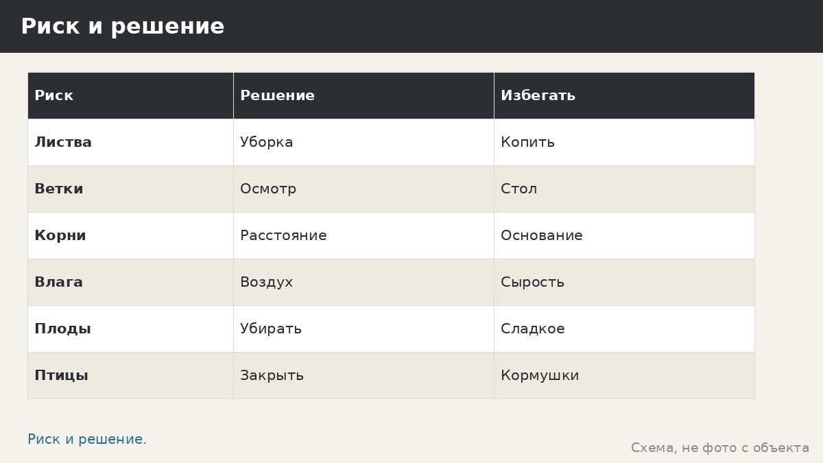 Деревья рядом с беседкой: тень, корни, листва и безопасное расстояние
