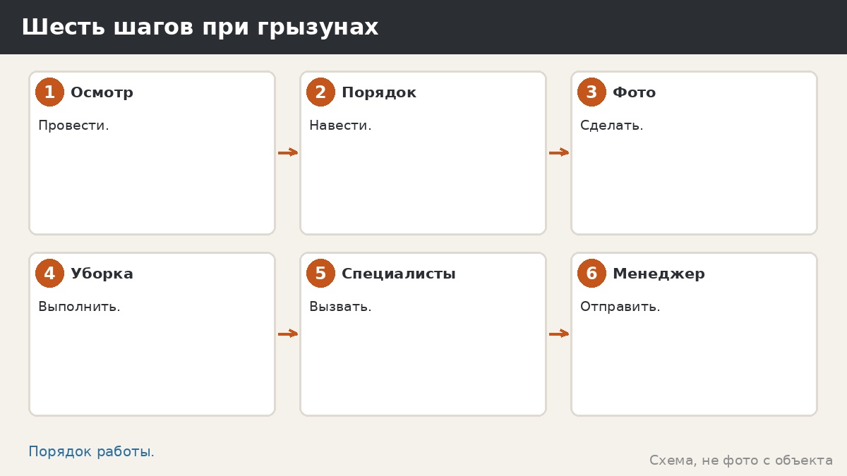 Шесть шагов при грызунах