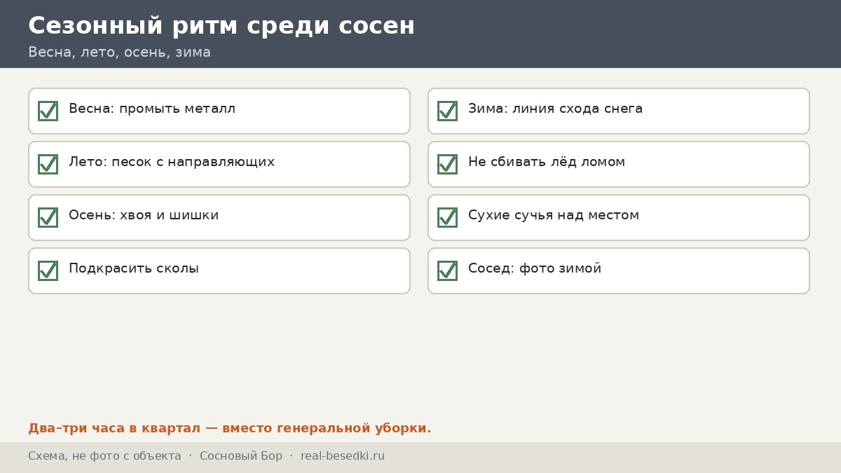 Чек-лист зимы, Сосновый Бор