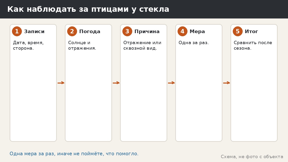 Как вести наблюдение за птицами у стекла