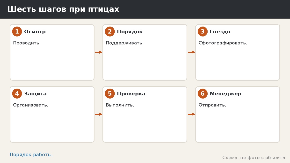 Шесть шагов при птицах