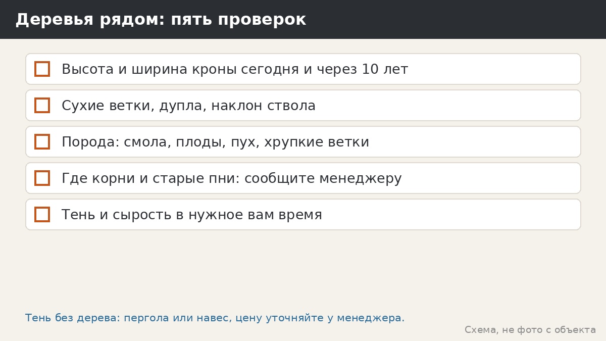 Деревья рядом: пять проверок перед выбором места