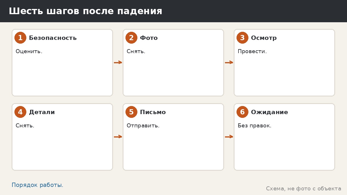 Шесть шагов после падения ветки