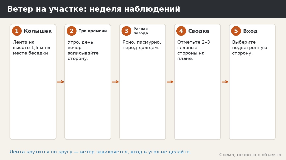 Неделя наблюдений: как проверить ветер на своём участке